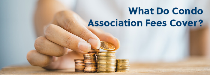 What Do Condo Association Fees Cover? A Simple Breakdown for 2026